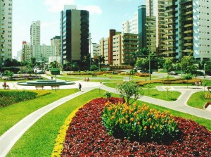 Web designer Goiania